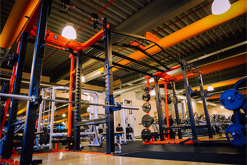 fitbase-lu-workout-rack.jpg